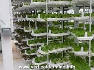 Vertical Farming