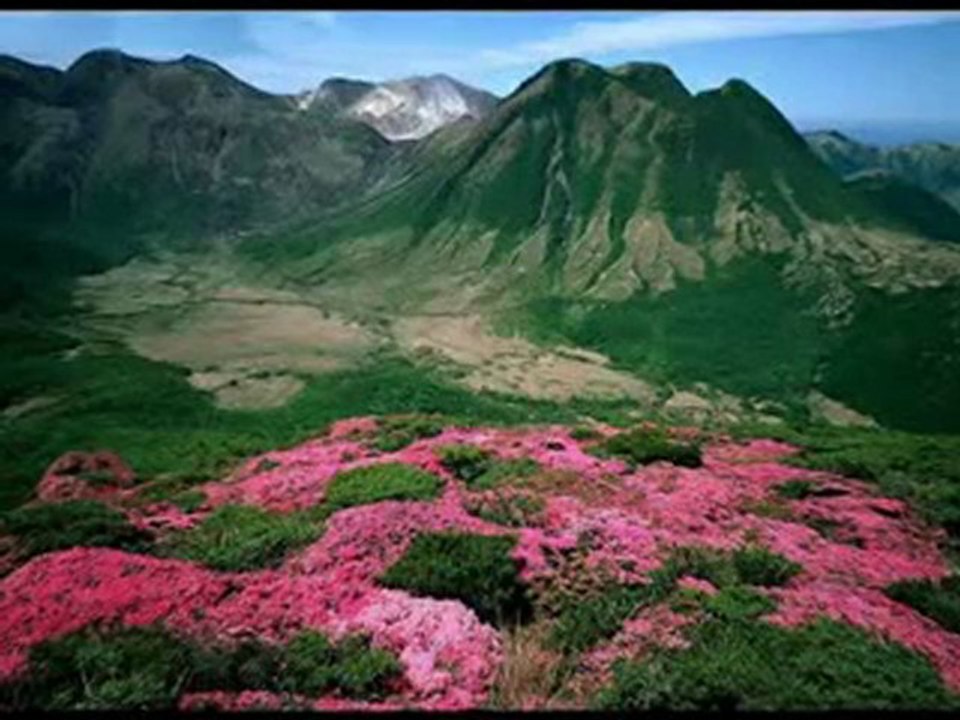 AŞIK MEVLÜT İHSANİ GİDELİM