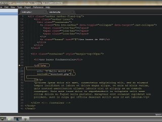 Les bases de PHP - Chapitre 2 : Les fondamentaux