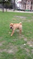 Gambling for your Eyes Only DES MING WAY