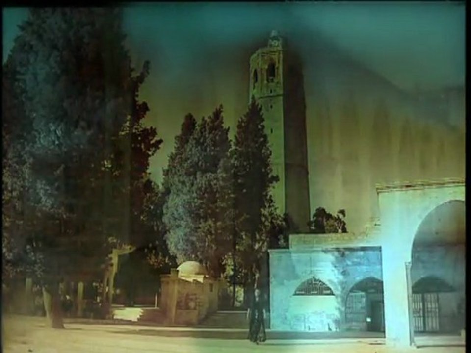 Nilüfer - Boşver