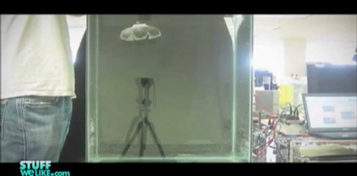 Robotic Jellyfish