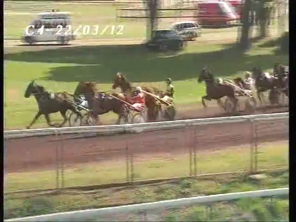 Sage de Bresles Hyères