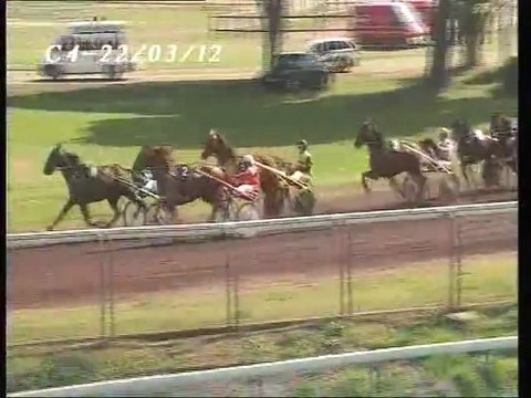 Sage de Bresles Hyères