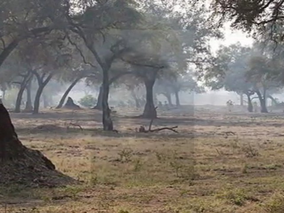 wielkanoc 2012