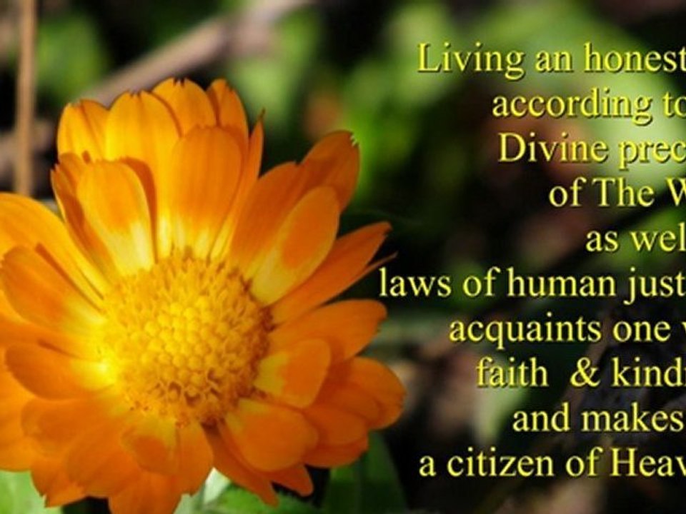 Citizen