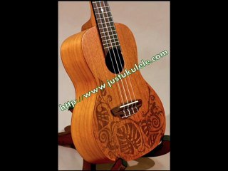 ukulele tutorial ingrid michaelson