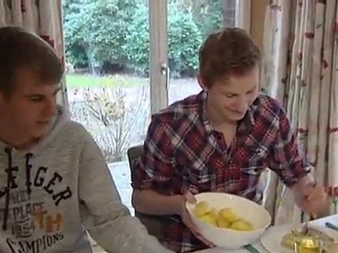 The Bruns Family Business - Premium Trees from the Nursery | Made in Germany