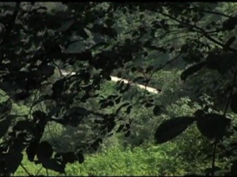 Erkan Oğur - İsmail H.Demircioğlu - Derdim Çoktur Hangisine Yanayım