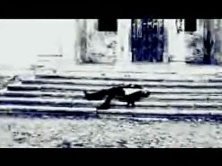 Doğuş - Güneşsiz Yarınım