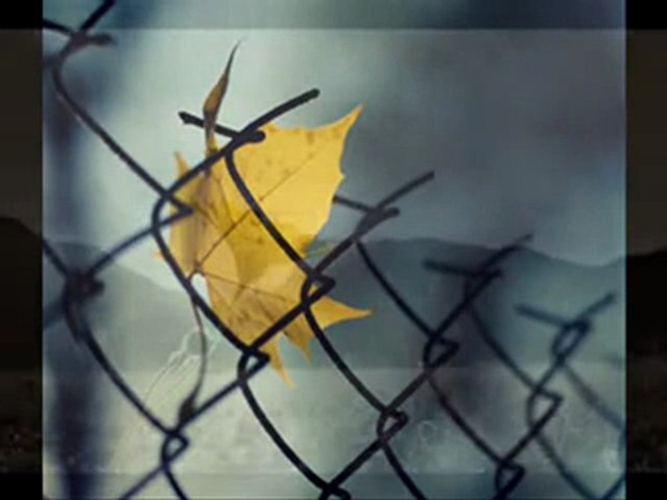 Ali Ekber EREN - Olmazı İsteme