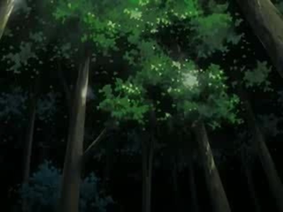 Yoruichi VS Soi Fong AMV