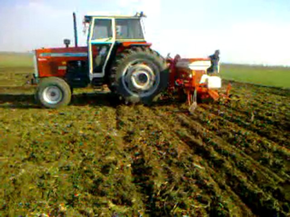 mf 398 ayçiçek ekimi 2012