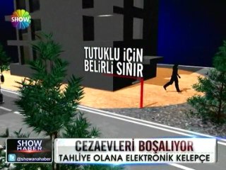 Denetimli serbestlik geliyor -  22 mart 2012