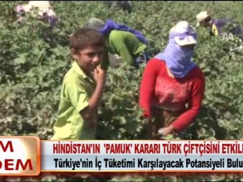 HİNDİSTAN’IN “PAMUK” KARARI TÜRK ÇİFTÇİSİNİ ETKİLEMEDİ 15.03.2012