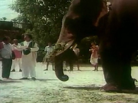 Puttadi Bomma - Suthi Veerabhadra Rao Fantastic Comedy With A Writter