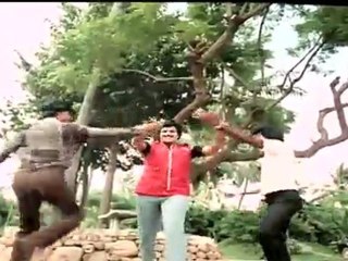 Nippulanti Manishi - Bala Krishna Real Stunt Fight
