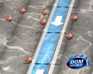 Dom Source - Publicité Produit