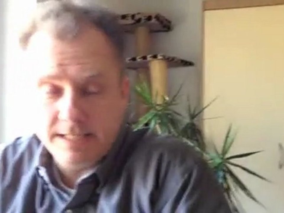 Video SEO Traffic Booster Brainstorm mit S. Berns