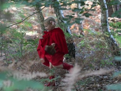 Promenons-nous dans les bois avec le Petit Chaperon rouge d'Hélène Le Berre