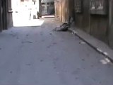 فري برس   حمص القديمة الصفصافة أثار الدمار جراء القصف ج2