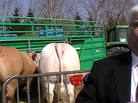 VESOUL : DEUX GÉNISSES DU GAEC GROSSETETE SELECTIONNES AU CONCOURS AGRICOLE DE DIJON SUR LE PARKING D'INTERMARCHÉ