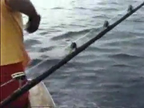 Kona Hawaii Fishing Videos-Humdinger-Jeff Fay