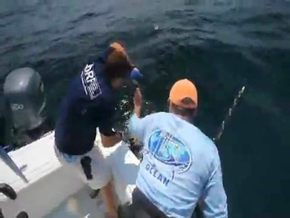 Blue Fin