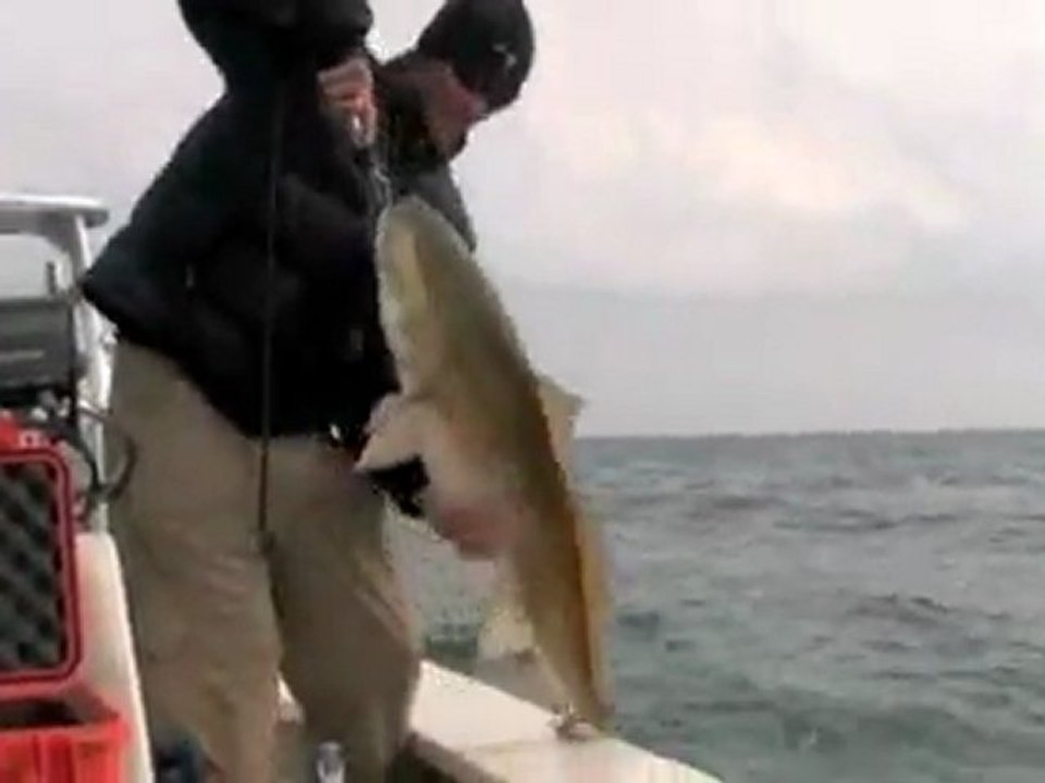 Charleston Redfish