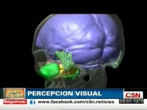 Cerebro: Percepcion visual (Vision ciega)
