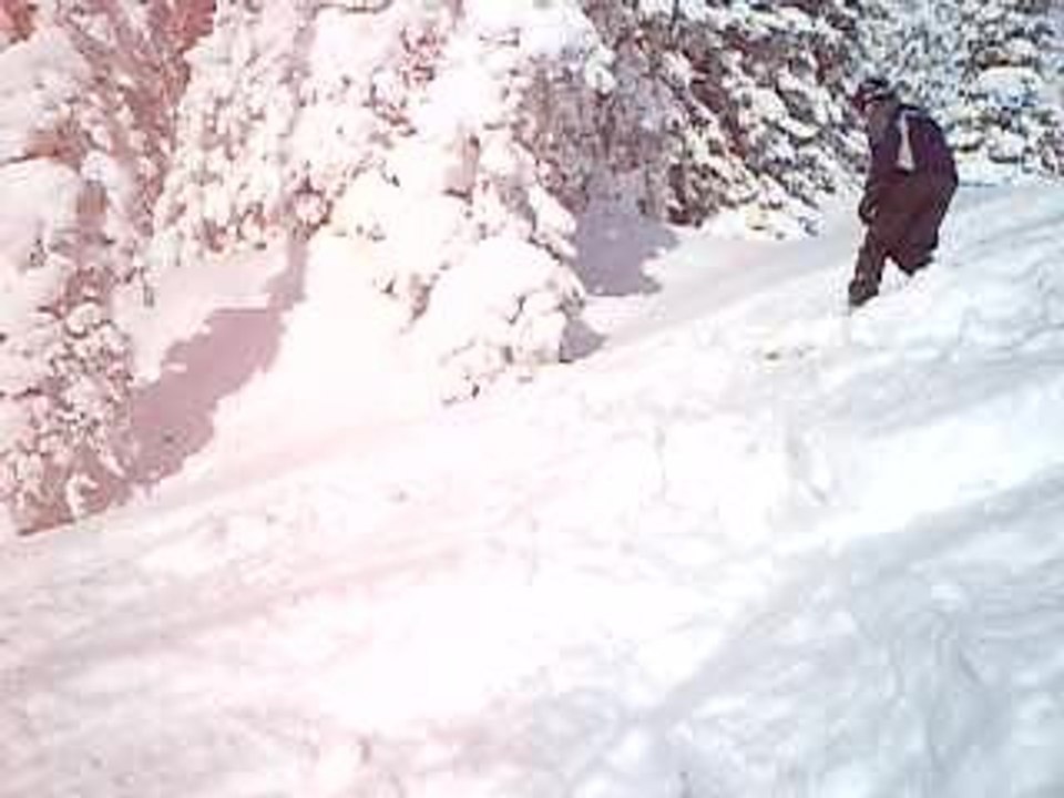 Boarder allan ehrwald