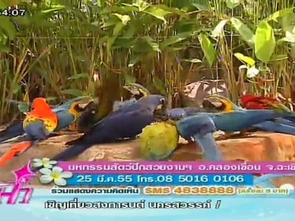 รายการ แจ๋ว  วันที่ 23 มีนาคม 2555