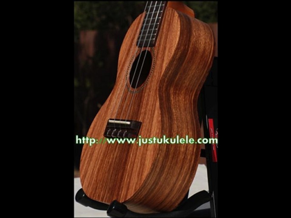 ukulele lessons beginners online