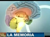 Memoria y cerebro: Funes el memorioso (Ivan Izquierdo)