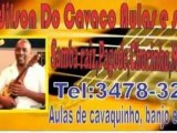 Aulas de Cavaquinho, Banjo & Violão Via Internet 2012 ON LINE 100% ao Vivo e on line .