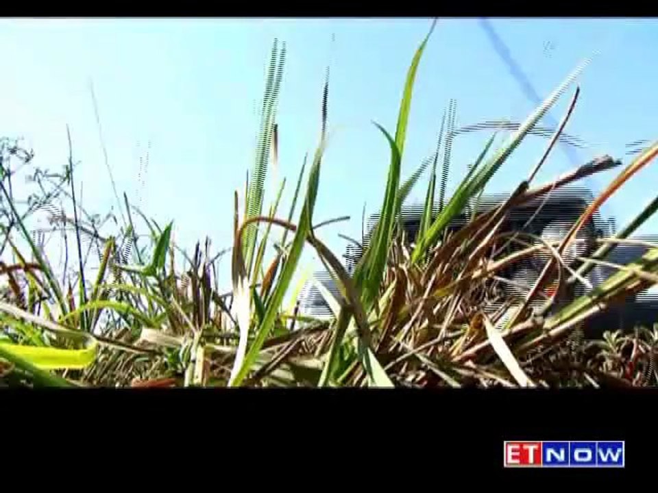 ZigWheels Women's Day Special!