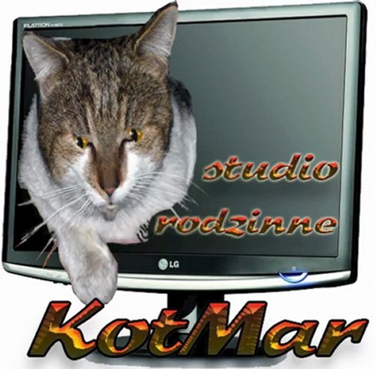 kot-czołówka-element