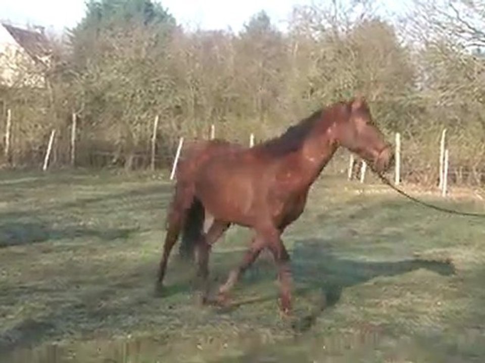 16.03.2012.j.limpio