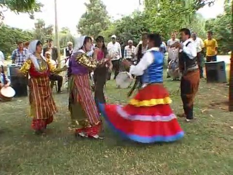 Safiye Kayıkçı - Armuttan Kayacağım