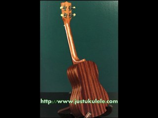 ukulele lessons chicago