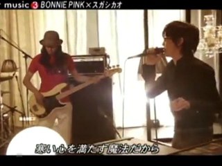 orange - BONNIE PINK & Shikao Suga