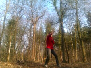 Wing chun techniques