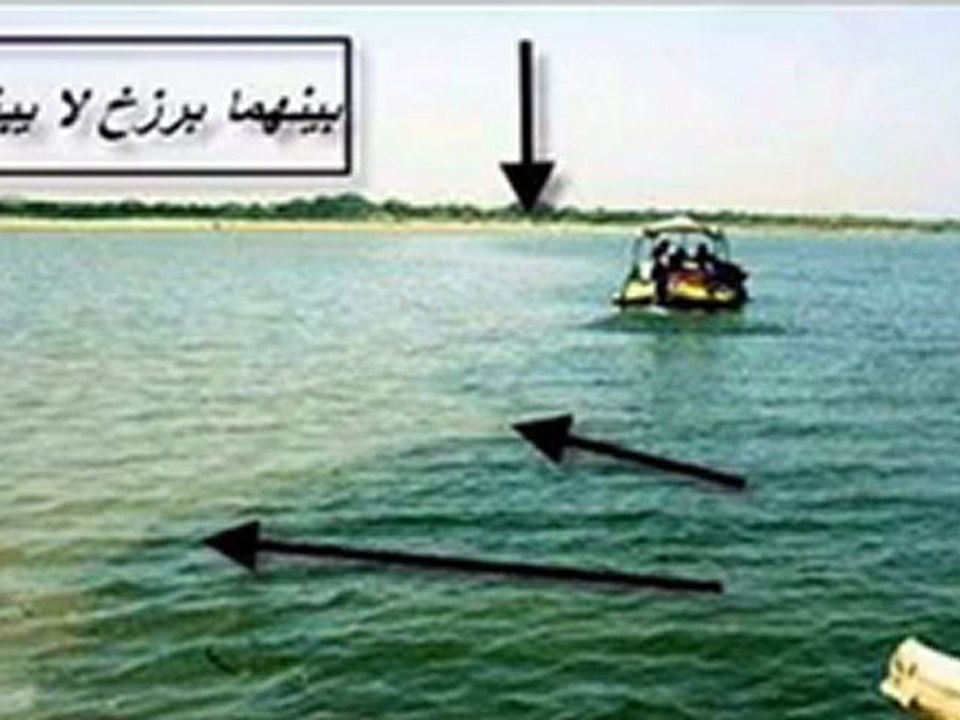 ‫صورة حقيقية لاعجاز علمي ادهشت العديد‬‎