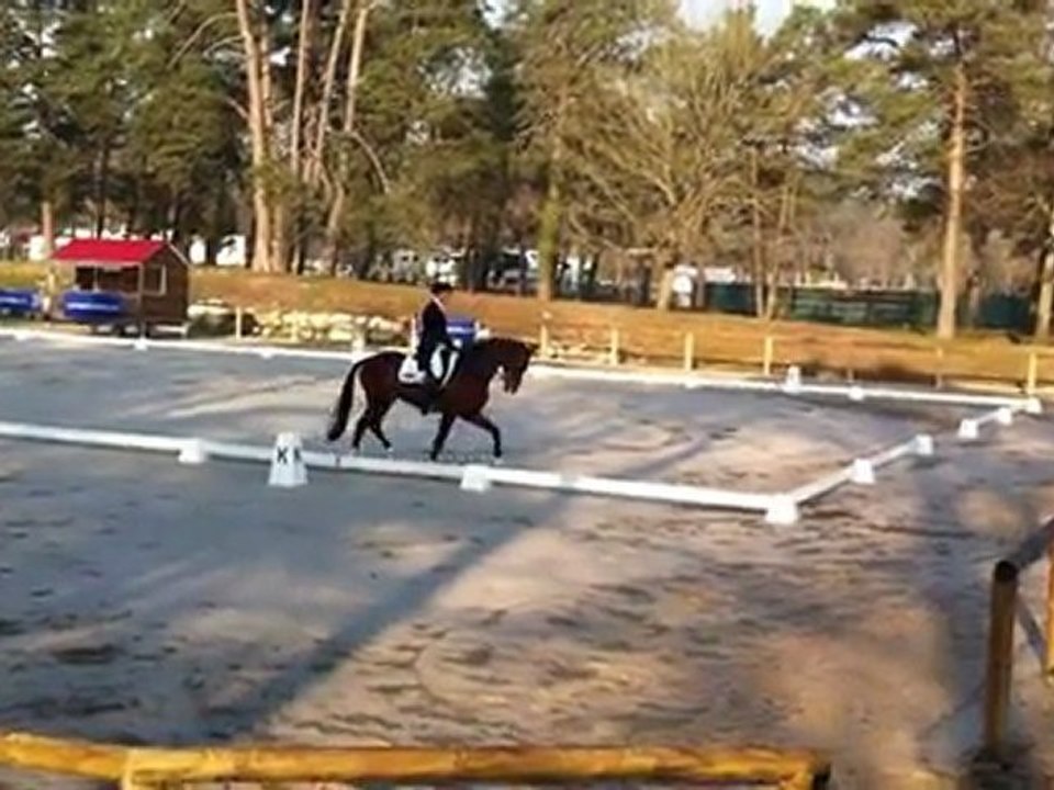 Mighty Magic - CIC* Fontainebleau 2012 - Dressage