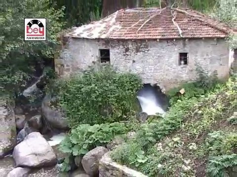 Akkuşlu Metin - Argan Yaylası