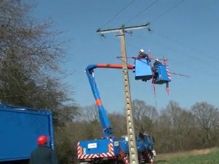 ERDF protège les oiseaux
