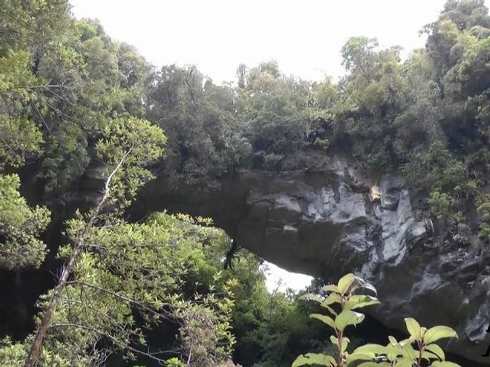 Oparara Basin Arch Track - New Zealand (HD)