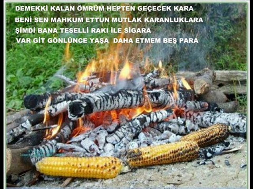 yaşar çelik şiirleri şimdi bana teselli rakı ile sigara