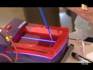 Tous différents mais tous semblables - Ateliers de l'Ecole de l'ADN