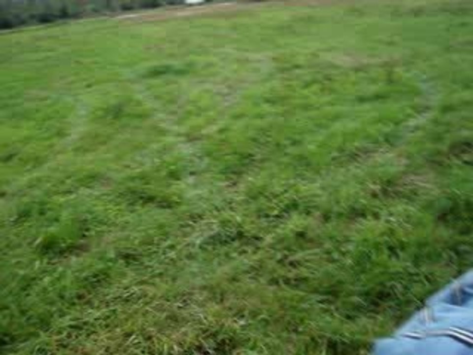 quad camera embarquée